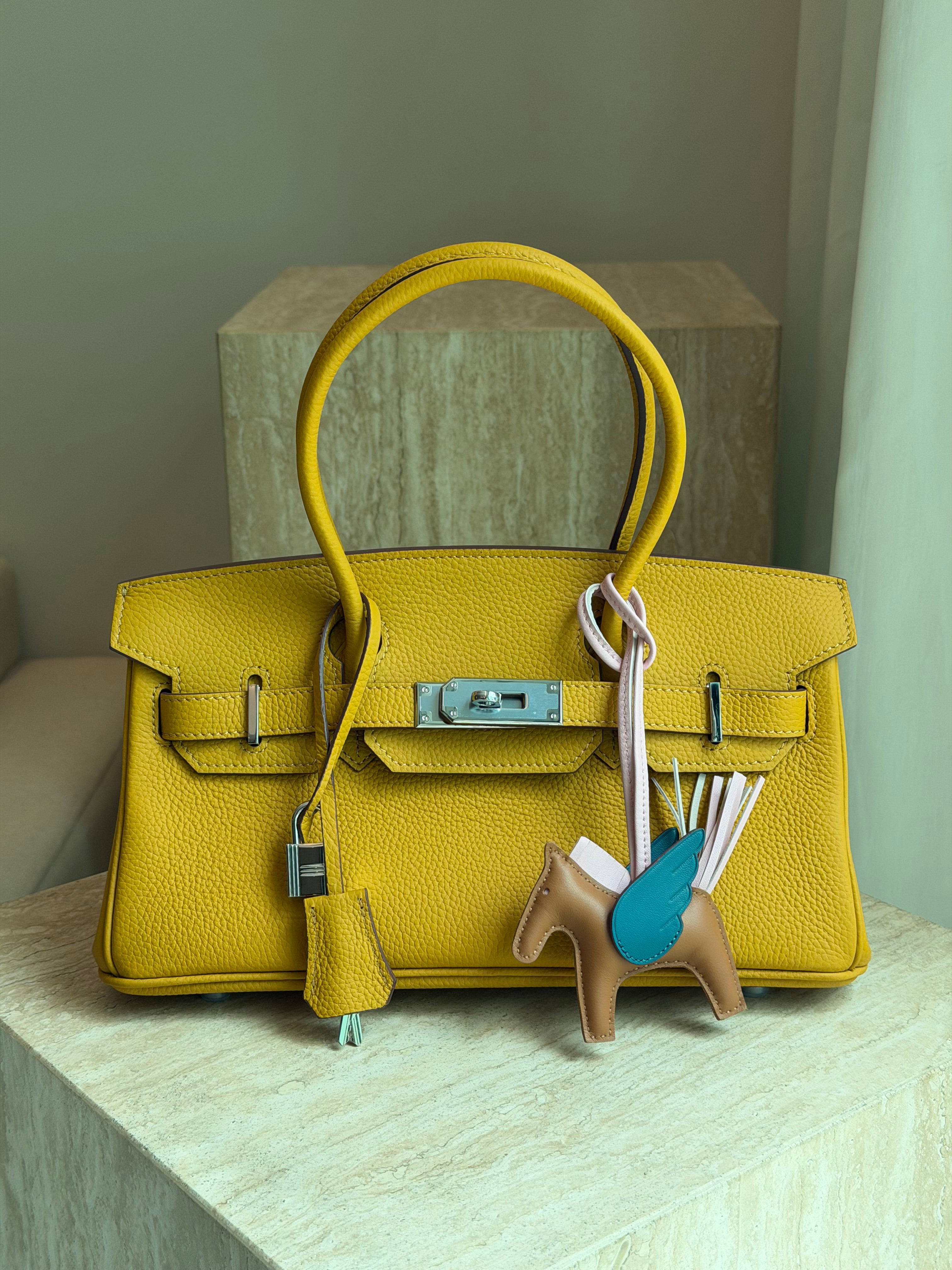 Jane Premium Leather Bag