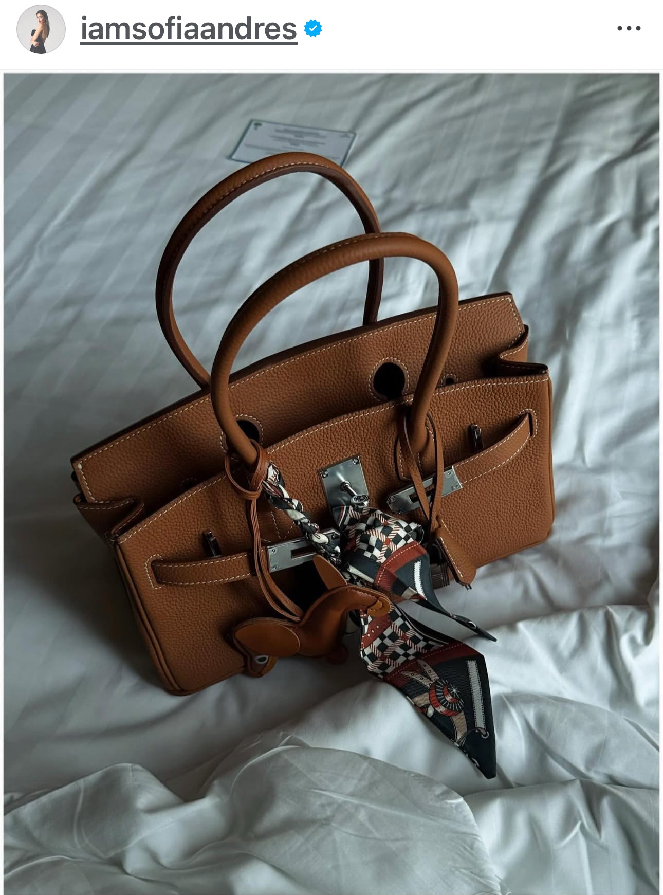 Jane Premium Leather Bag