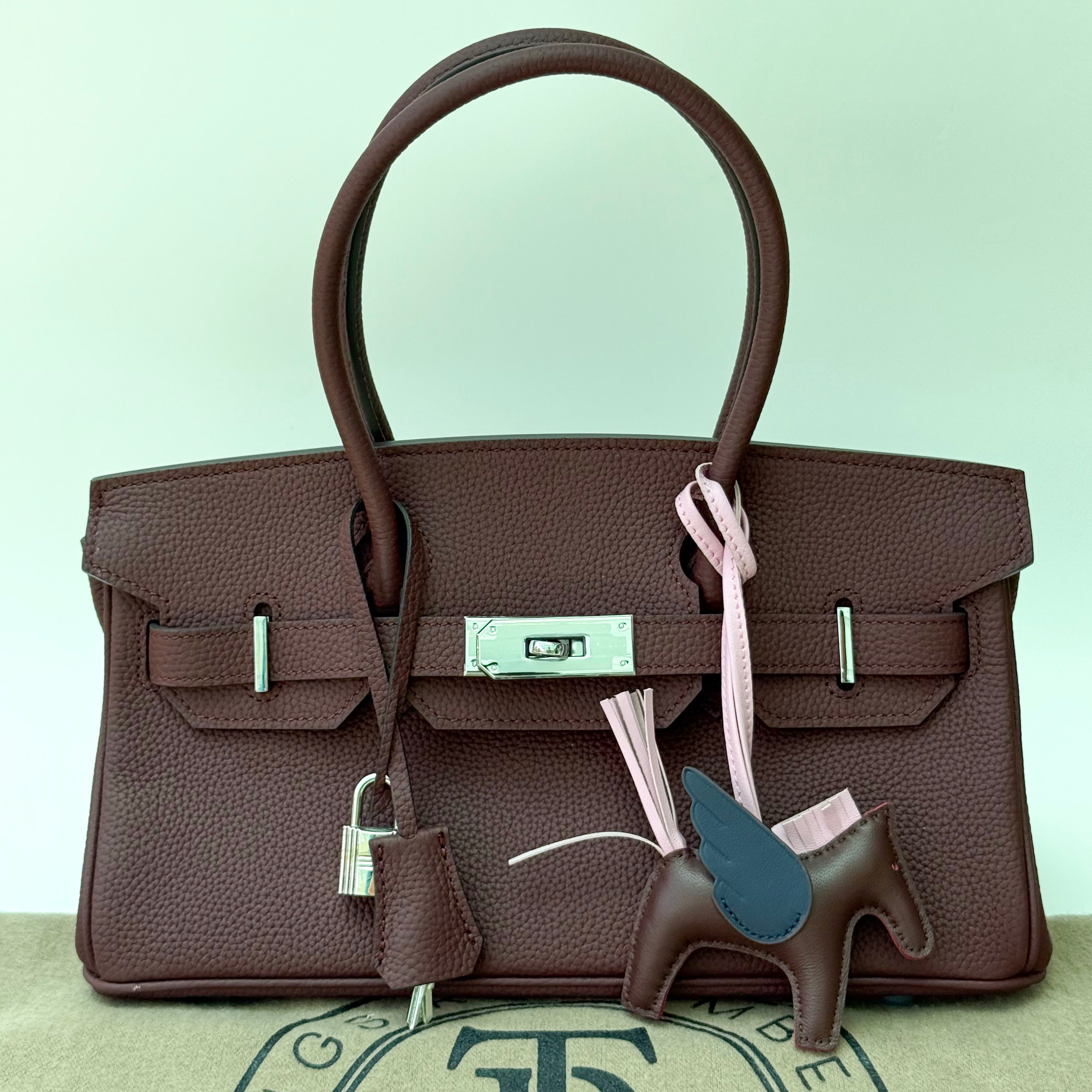 Jane Premium Leather Bag