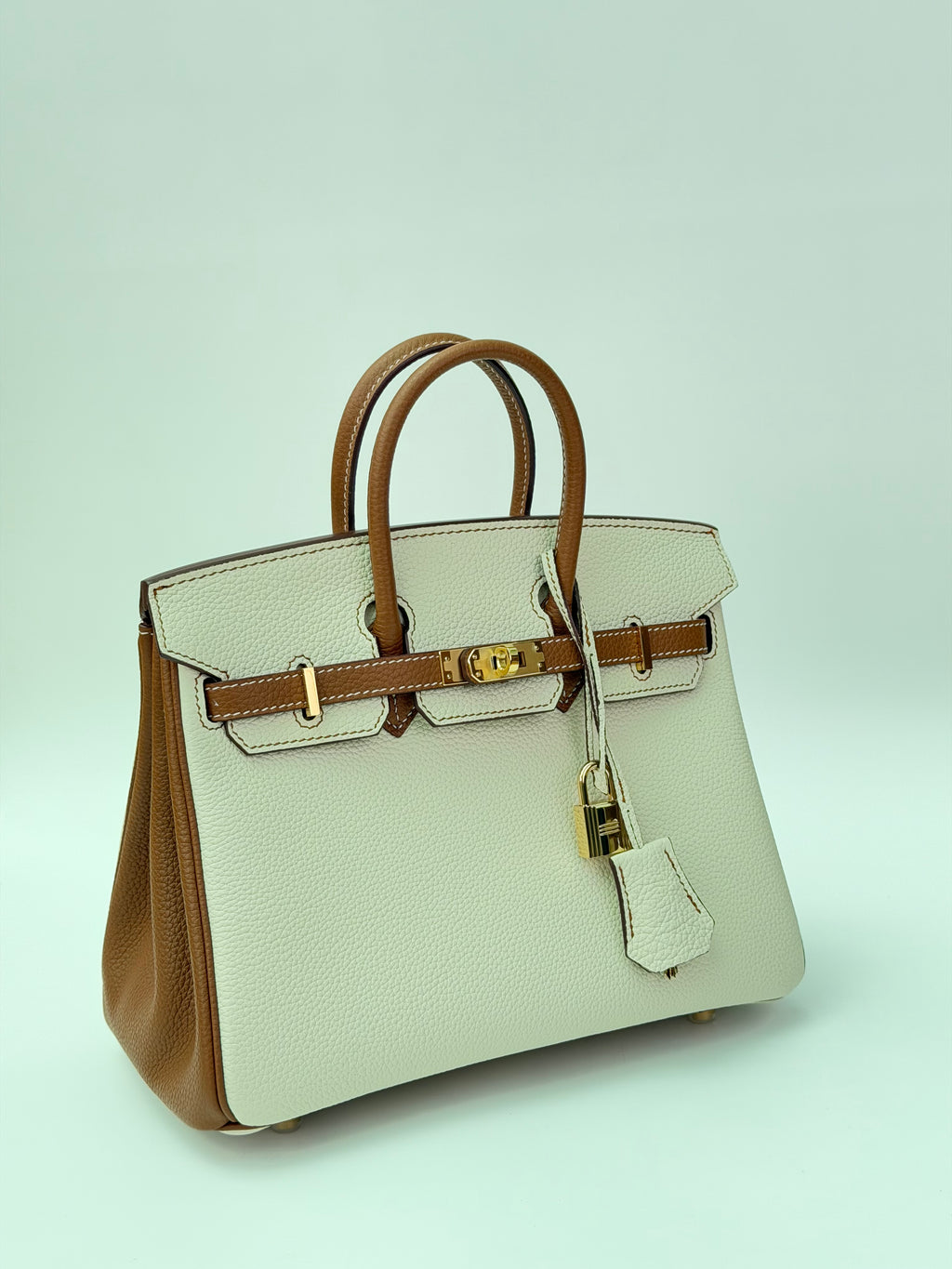 Jane Leather Bag