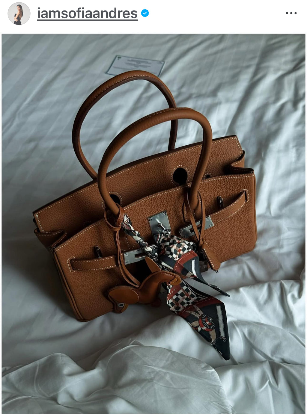Jane Premium Leather Bag