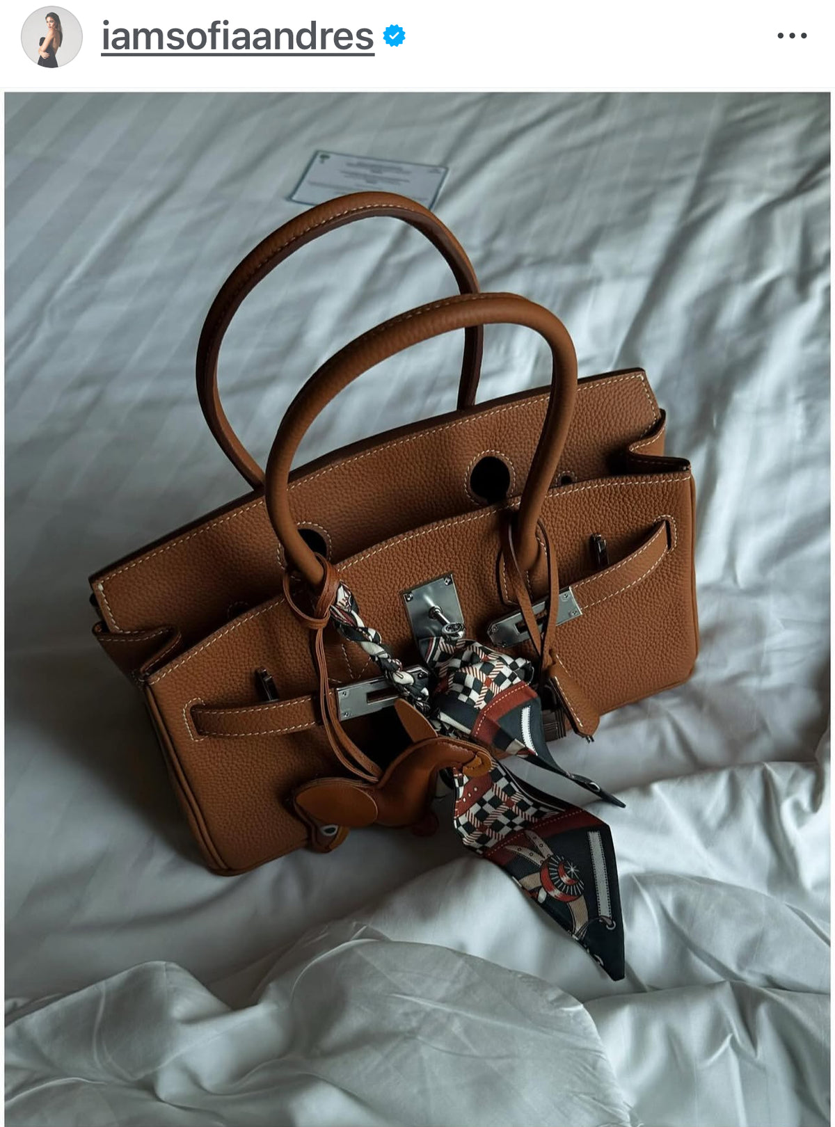 Jane Premium Leather Bag