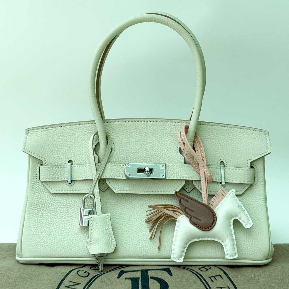 Jane Premium Leather Bag